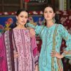 Belliza Bin Saeed Vol 6 Cotton Salwar Suit Catalog 8 Pcs