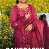 Deepsy Rang Rasiya Premium Lawn 24 Vol 3 Salwar Suit Catalog 4 Pcs