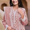 Raksha Fab A-D Organza Salwar Suit Catalog 4 Pcs